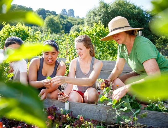 Three students and an instructor in a garden looking at leaves one student is holding.